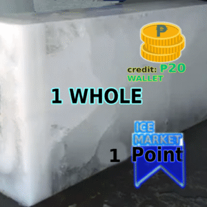 Block ICE - 𝟏 𝐖𝐇𝐎𝐋𝐄