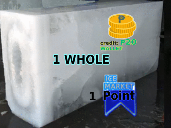 Block ICE - 𝟏 𝐖𝐇𝐎𝐋𝐄