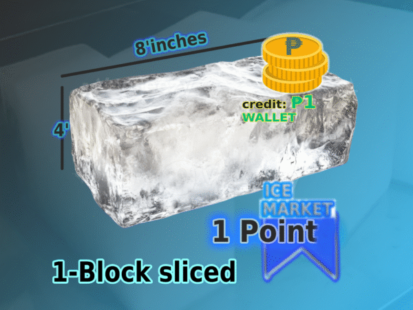 Block ICE - 𝐒𝐥𝐢𝐜𝐞𝐝